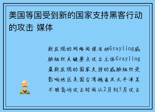 美国等国受到新的国家支持黑客行动的攻击 媒体